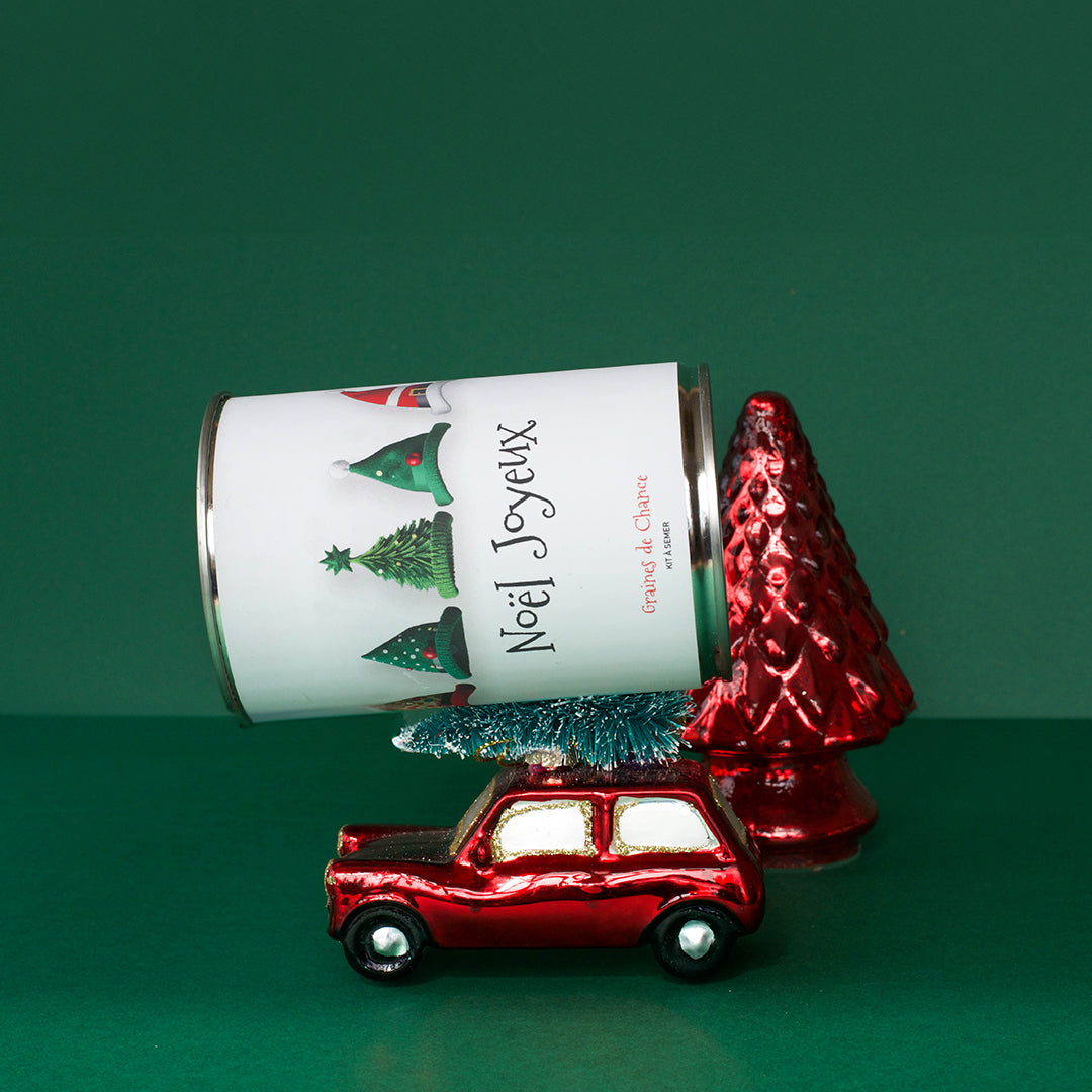 Kit à semer "Joyeux Noël" Fabriqué en France
