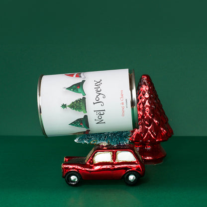 Kit à semer "Joyeux Noël" Fabriqué en France