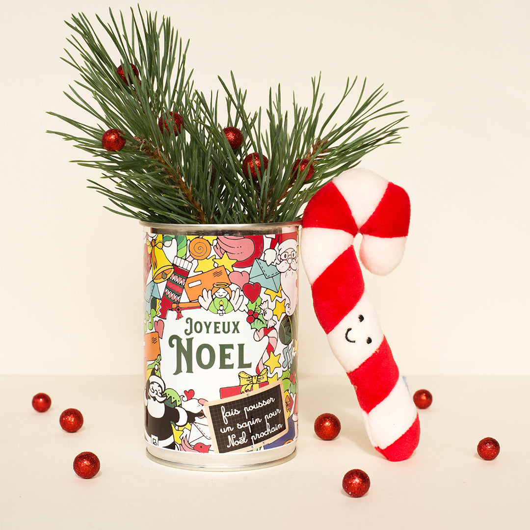 Kit à semer "Joyeux Noël"