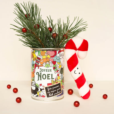 Kit à semer "Joyeux Noël"