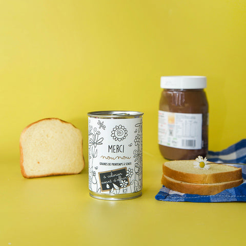 Kit à semer « Merci Nounou à colorier »