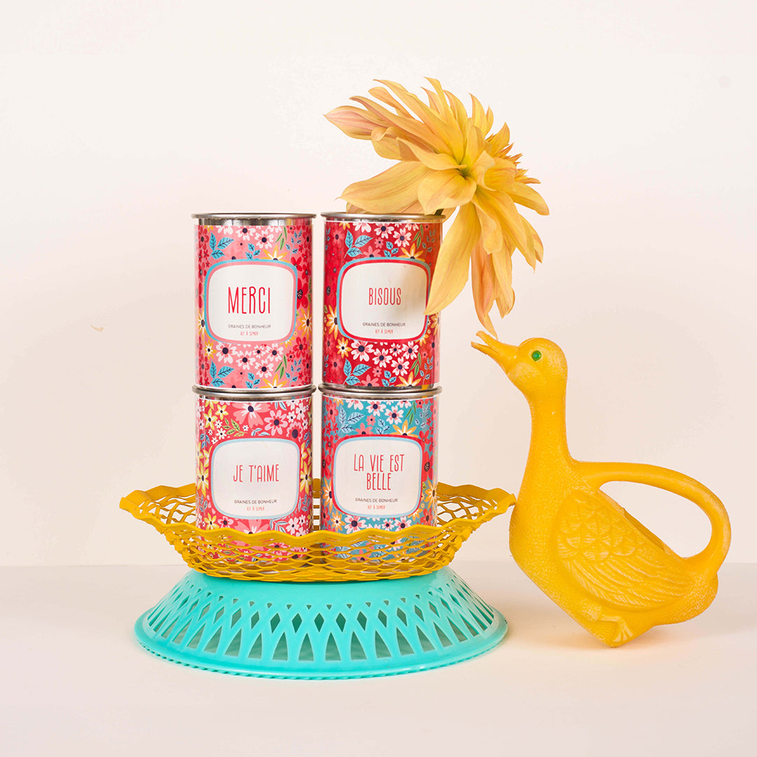 Pack de 4 kits à semer Mauvaises Graines en boîtes de conserve, coffret cadeau original
