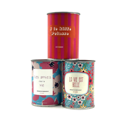 Pack Ami – Trio de Kits à Semer