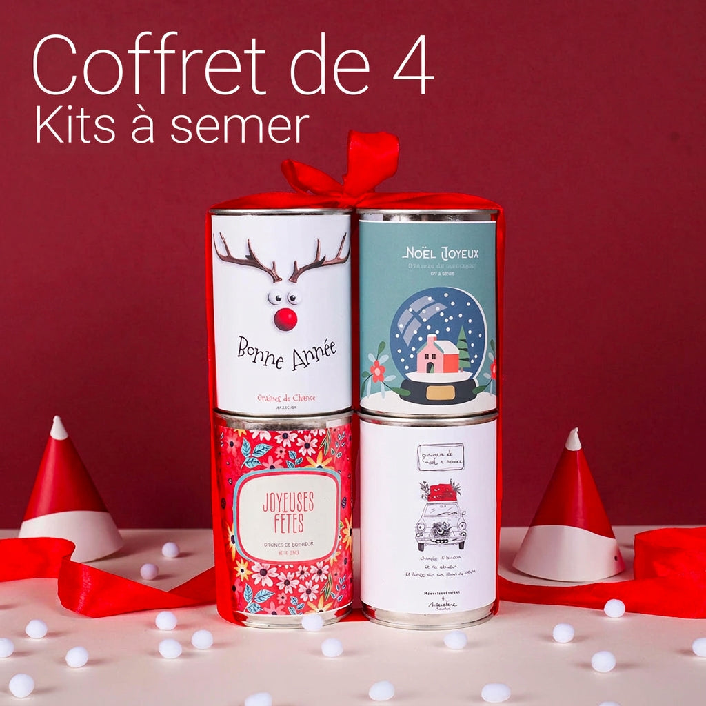 
Pack de 4 kits à semer « Noël et bonne année » – MauvaisesGraines