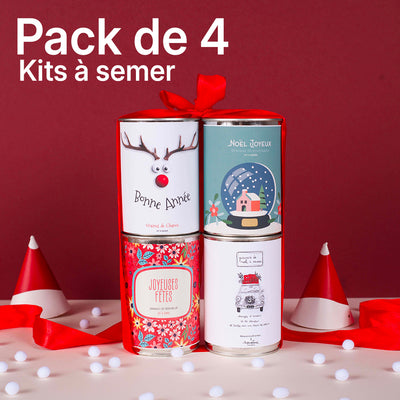 Pack de 4 kits à semer "Noël et bonne année"