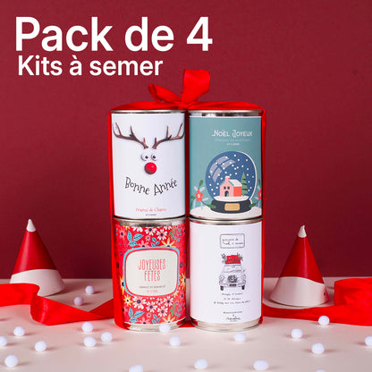 Pack de 4 kits à semer "Noël"