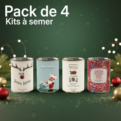 Pack de 4 kits à semer "Noël"