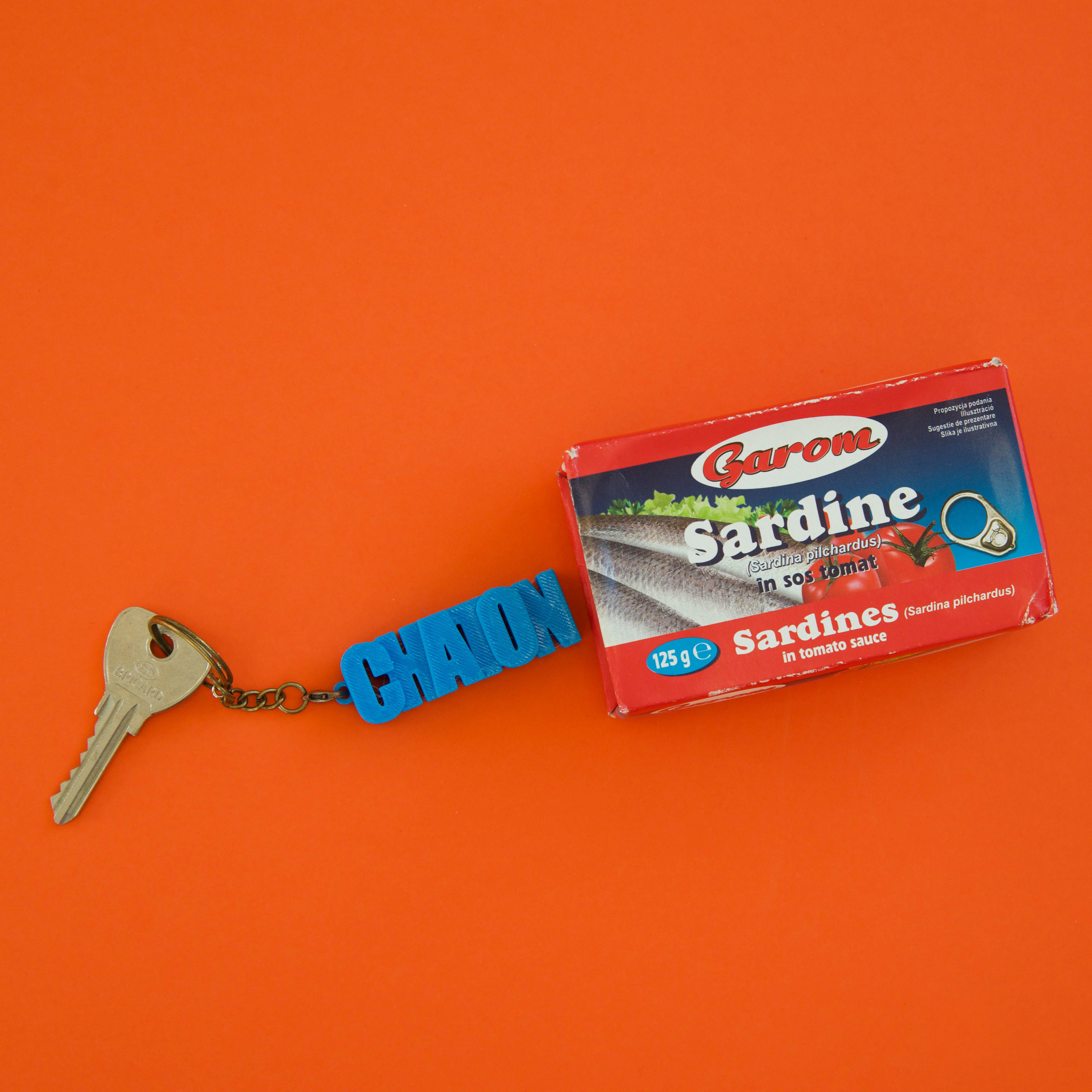 Porte-clés à message – CHATON