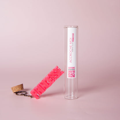 Porte-clés original en tube à essai avec message « princesse», création Mauvaises Graines. Idée cadeau fun, fabriquée en France, à offrir pour toutes les occasions