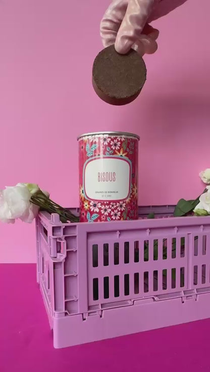 Kit à semer "Bisous" fabriqué en france