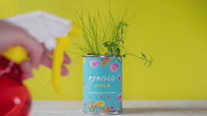 Kit à semer "Bichette t'es la plus chouette" fabriqué en France