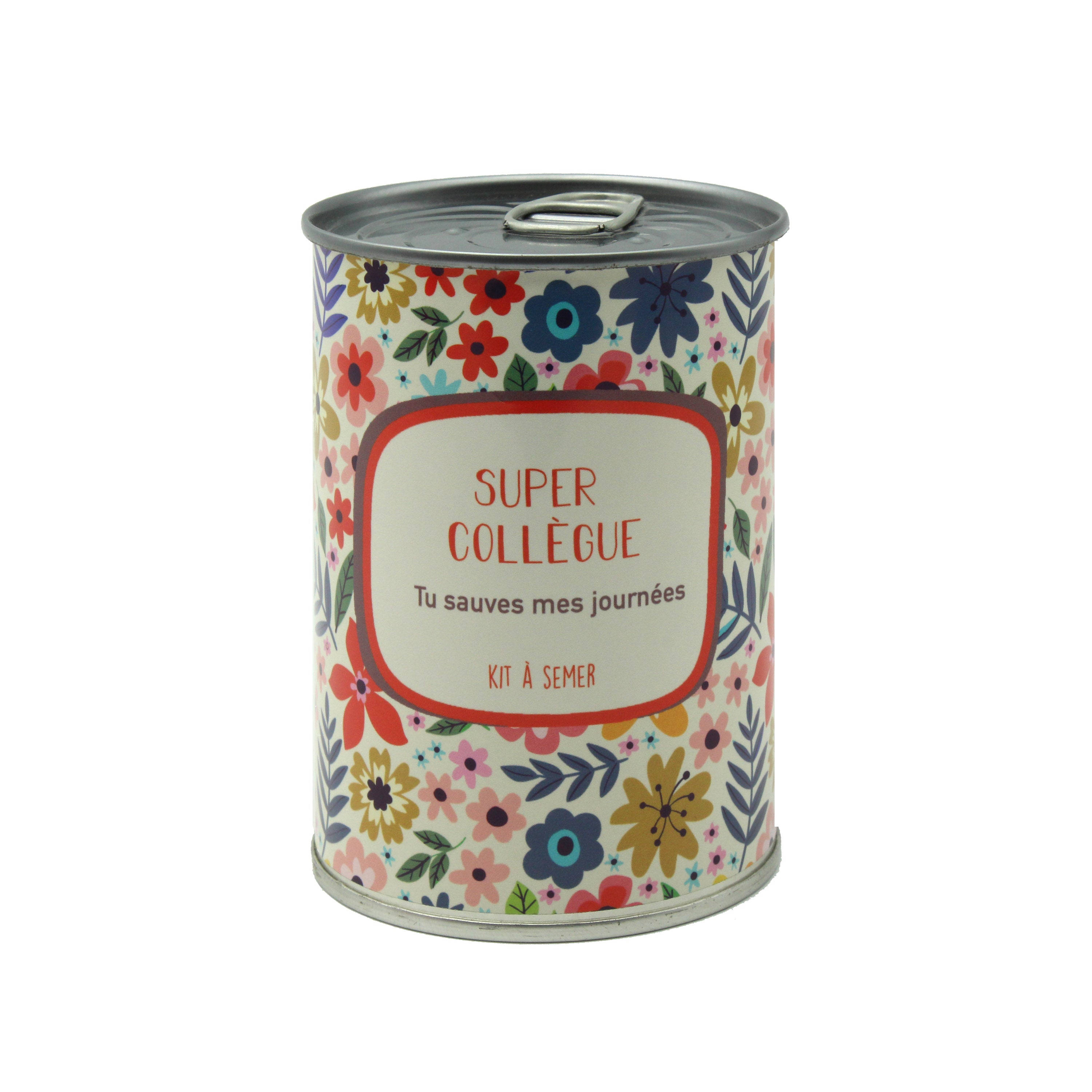 Pack Secret Santa – Trio de Kits à Semer