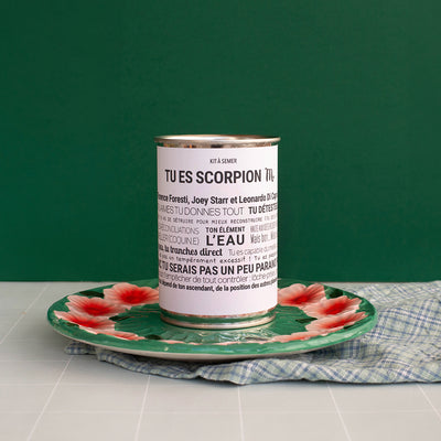 Kits à semer "Scorpion" en collab avec "Tout est Dit"