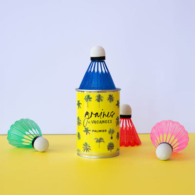 Kit à semer "Graines de Vacances"