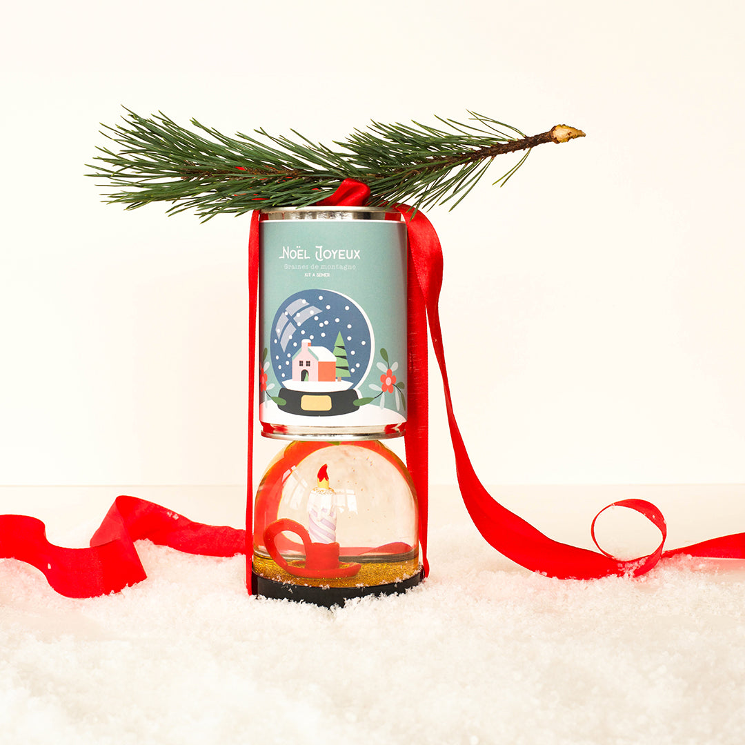 Kit à semer "Noël Joyeux (boule à neige)" Fabriqué en France