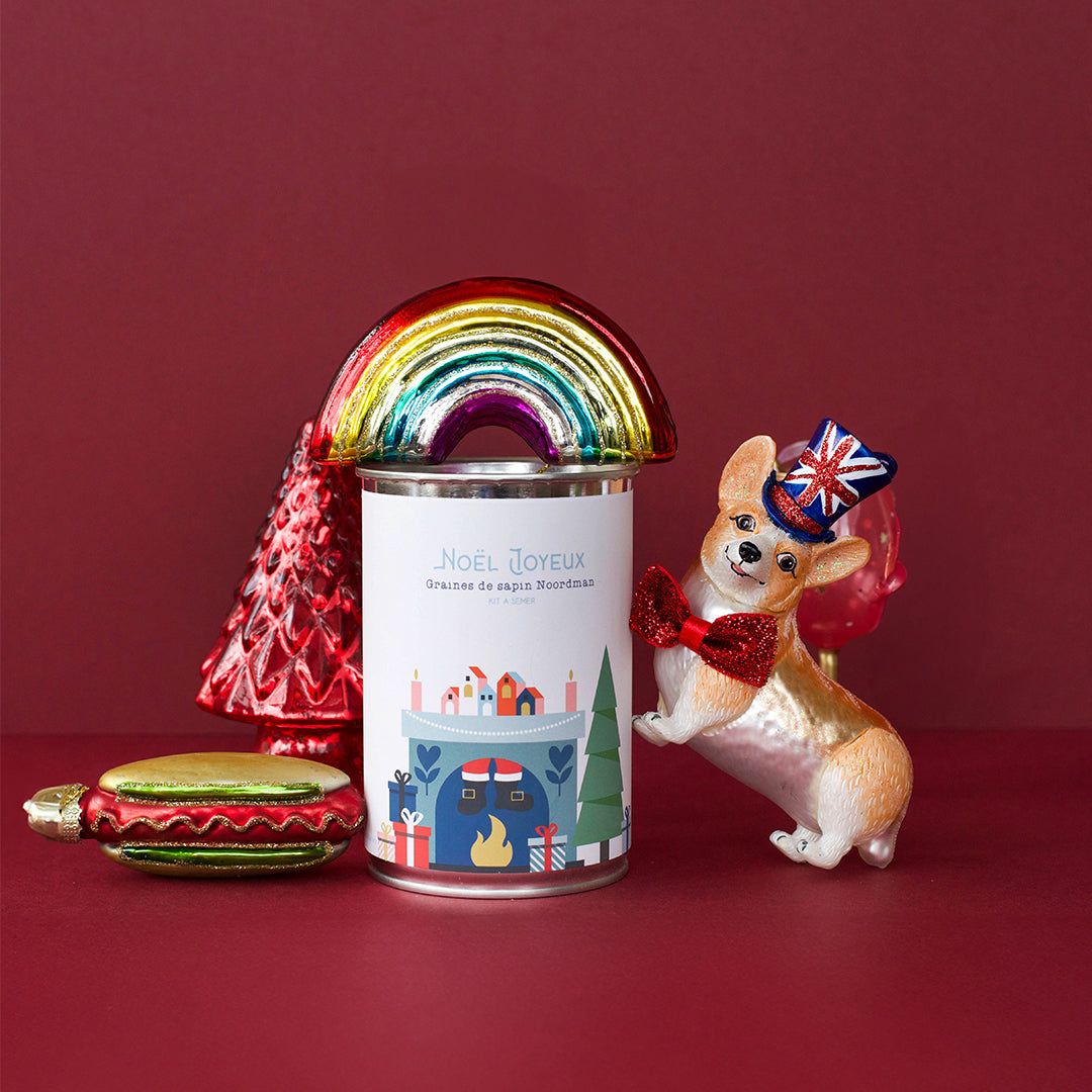 Kit à semer "Noël Joyeux (cheminée)" Fabriqué en France