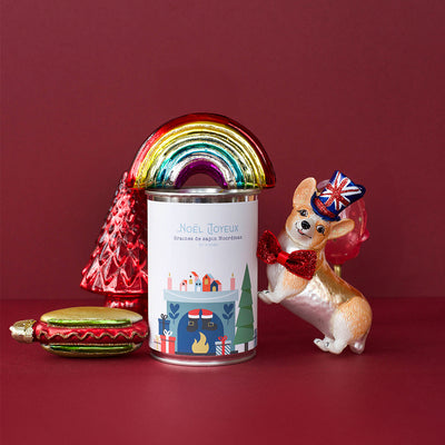 Kit à semer "Noël Joyeux (cheminée)" Fabriqué en France