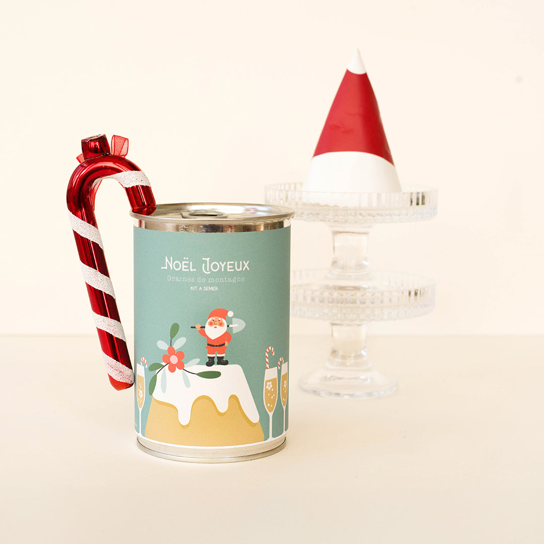 Kit à semer "Noël Joyeux (gâteau)" Fabriqué en France