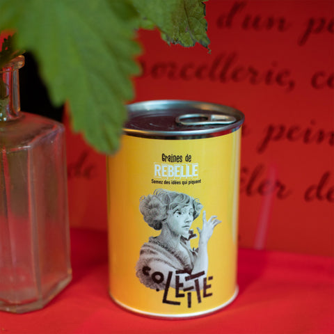Kit à semer « Colette »