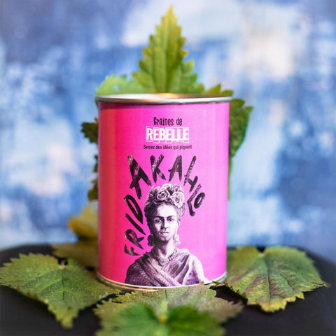 Kit à semer « Frida Kahlo »
