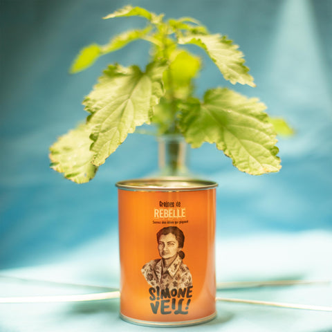 Kit à semer « Simone Veil »